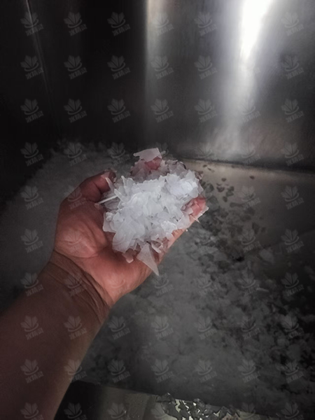 鳞片冰